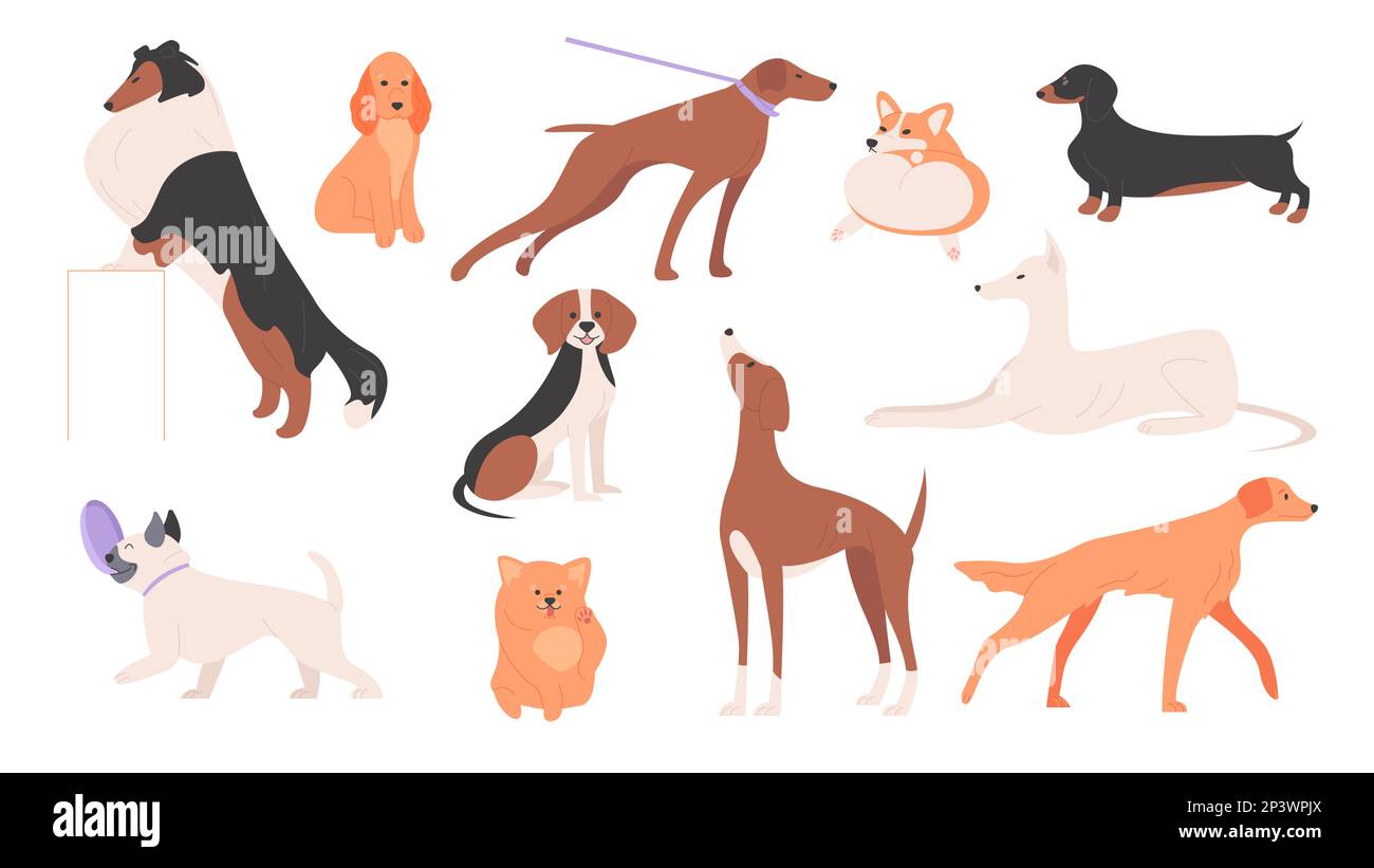Dogs set vector illustration. Cartoon happy cute dogs of different breeds collection, group of small and big animal characters with funny poses, tails and adorable faces, playing puppy portraits Stock Vector
