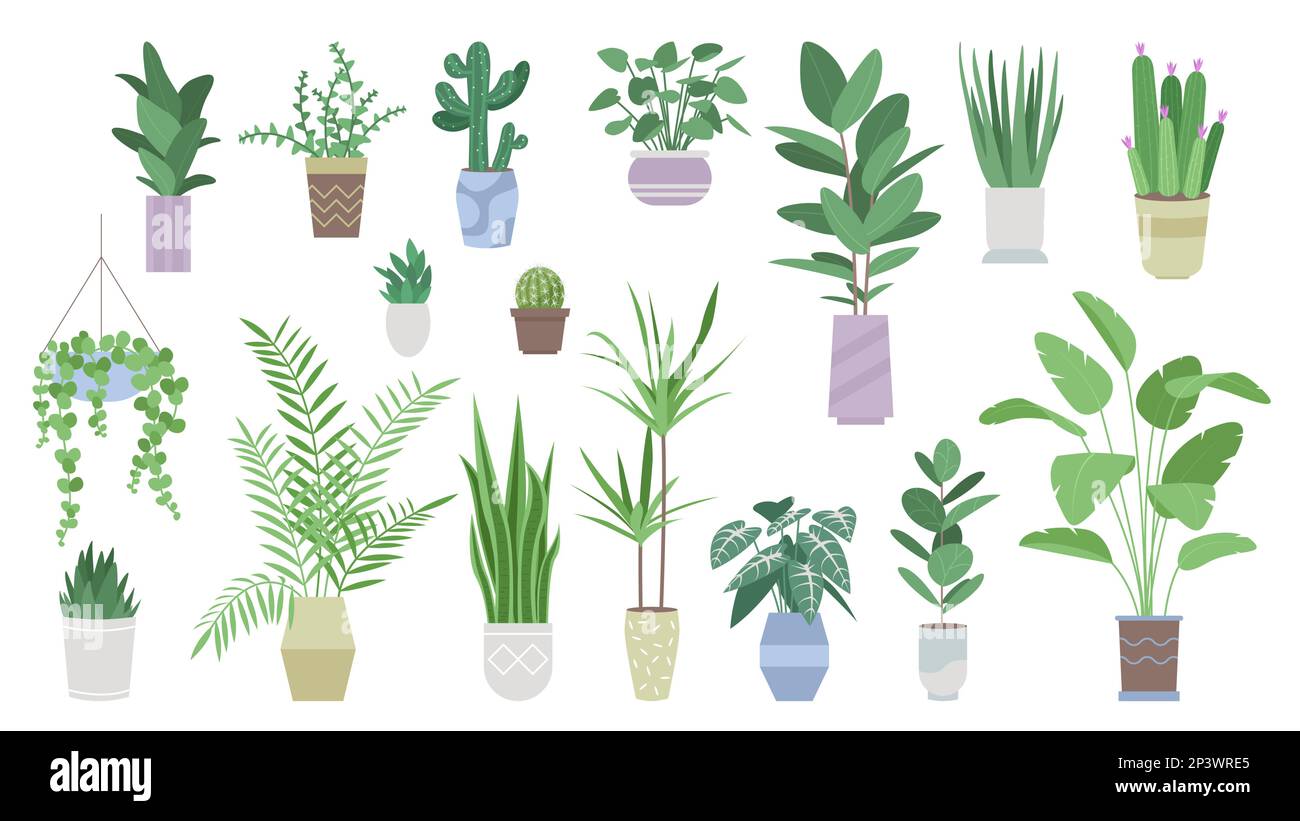 Green plants for house decoration set vector illustration. Cartoon