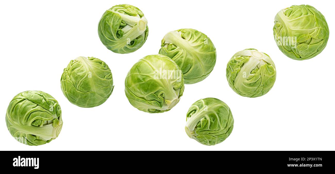 Falling brussels sprouts isolated on white background Stock Photo Alamy