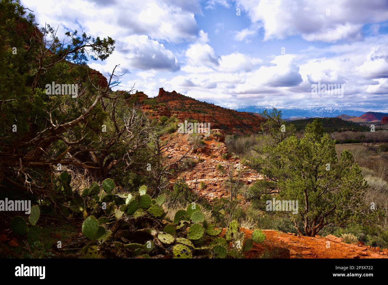 Red Rocks Green Rocks Red Rocks from the Trees in the Green Stock Photo - Alamy