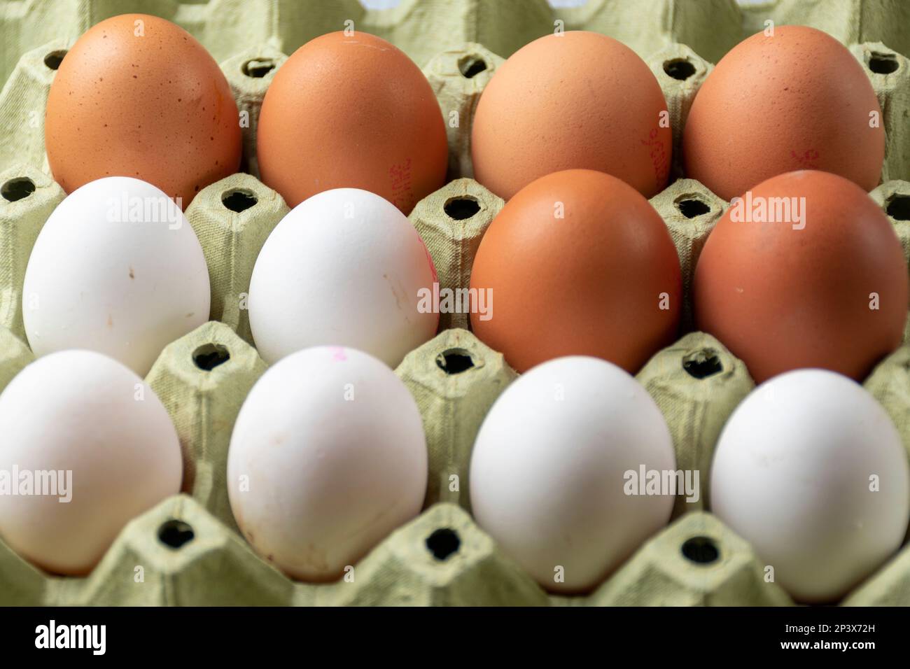Eggs in a paper box Stock Photo