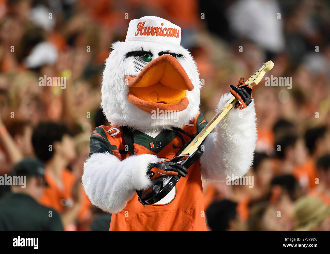 06 September 2014 University of Miami mascot performs during the game