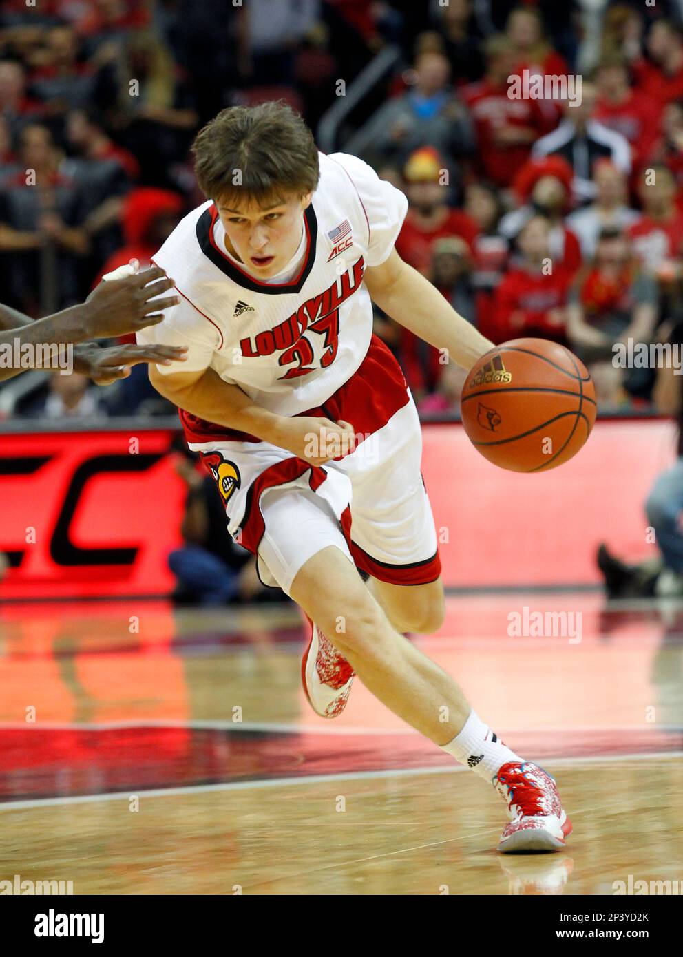 17 NOVEMBER 2014: University of Louisville's David Levitch (23) basketball  shoes during game against Jacksonville State at the KFC Yum! Center in  Louisville, Kentucky. (Icon Sportswire via AP Images Stock Photo - Alamy