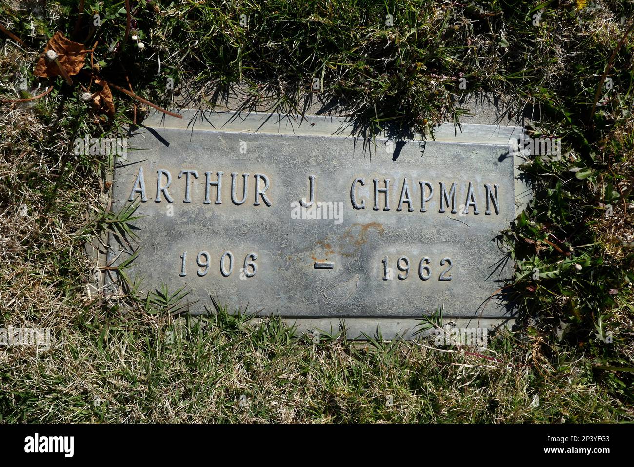 Long Beach, California, USA 2nd March 2023 Professional Hockey Player Art Chapman's Grave in Bouvardia section at Forest Lawn Long Beach Memorial Park Cemetery on March 2, 2023 in Long Beach, California, USA. Photo by Barry King/Alamy Stock Photo Stock Photo