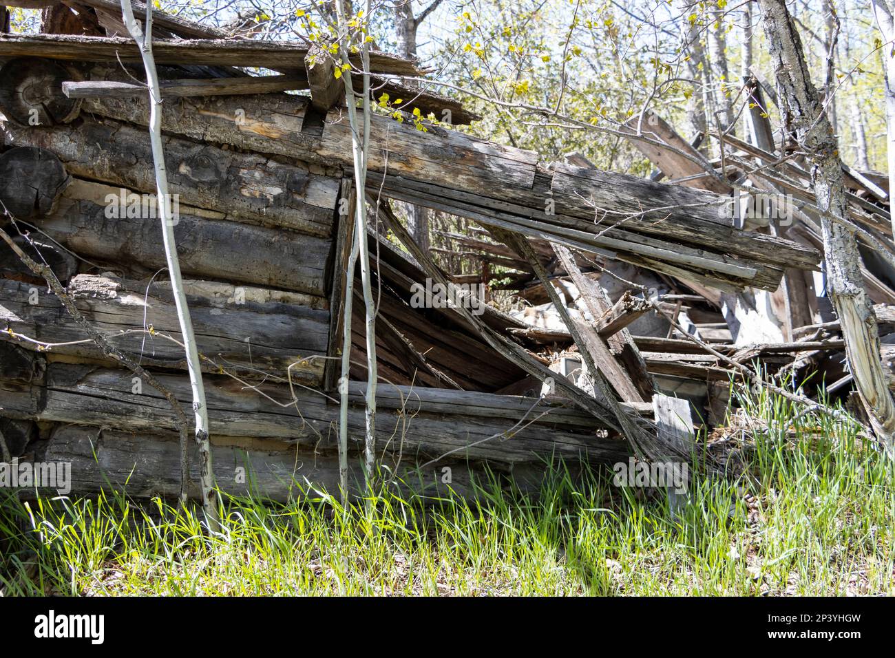 Heavy Timber Collapse collapsing wooden structure Stock Photo - Alamy