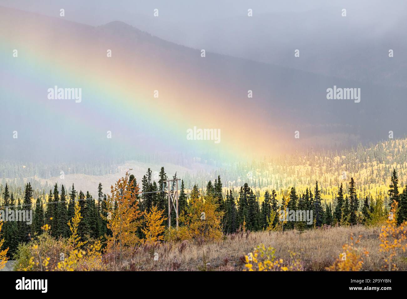 Stunning fall season, autumn in northern Canada during September on road trip vibes with rainbow in the sky, nature, natural landscape scene. Stock Photo
