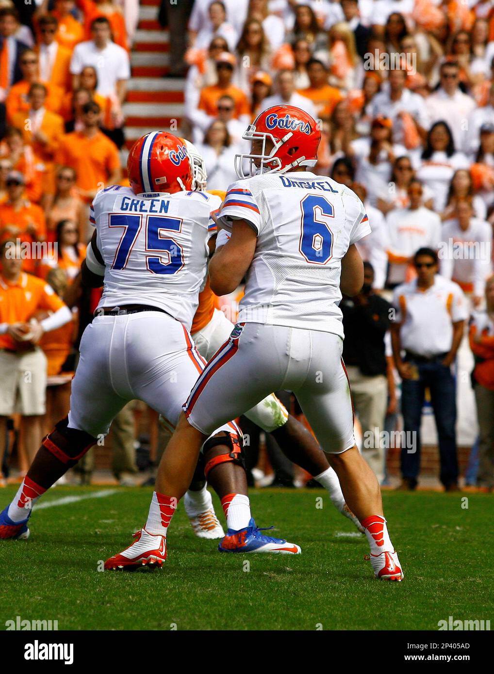 October 04 2014: Florida Gators quarterback Jeff Driskel (6) in first half action at Neyland Stadium in Knoxville, Tennessee. (Icon Sportswire via AP Images) Stock Photo