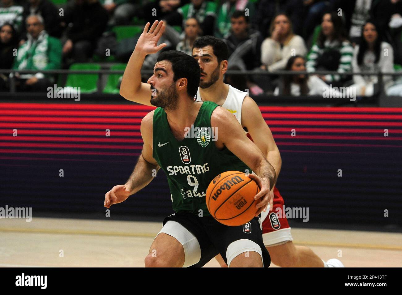 BASQUETEBOL  SL BENFICA x SPORTING CP - EM DIRETO 