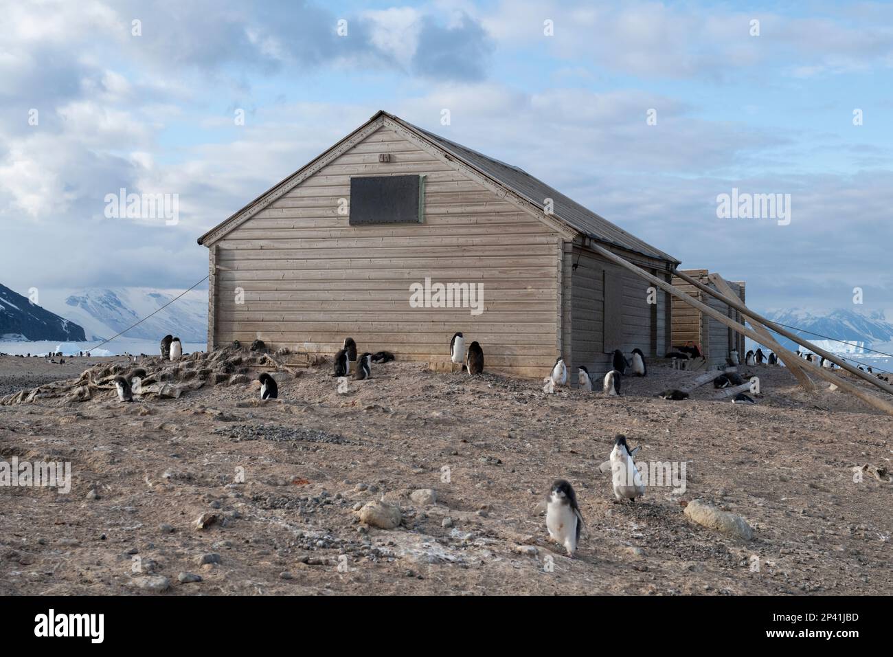 Antarctica, Ross Sea, Victoria Land, Adare Peninsula, Cape Adare