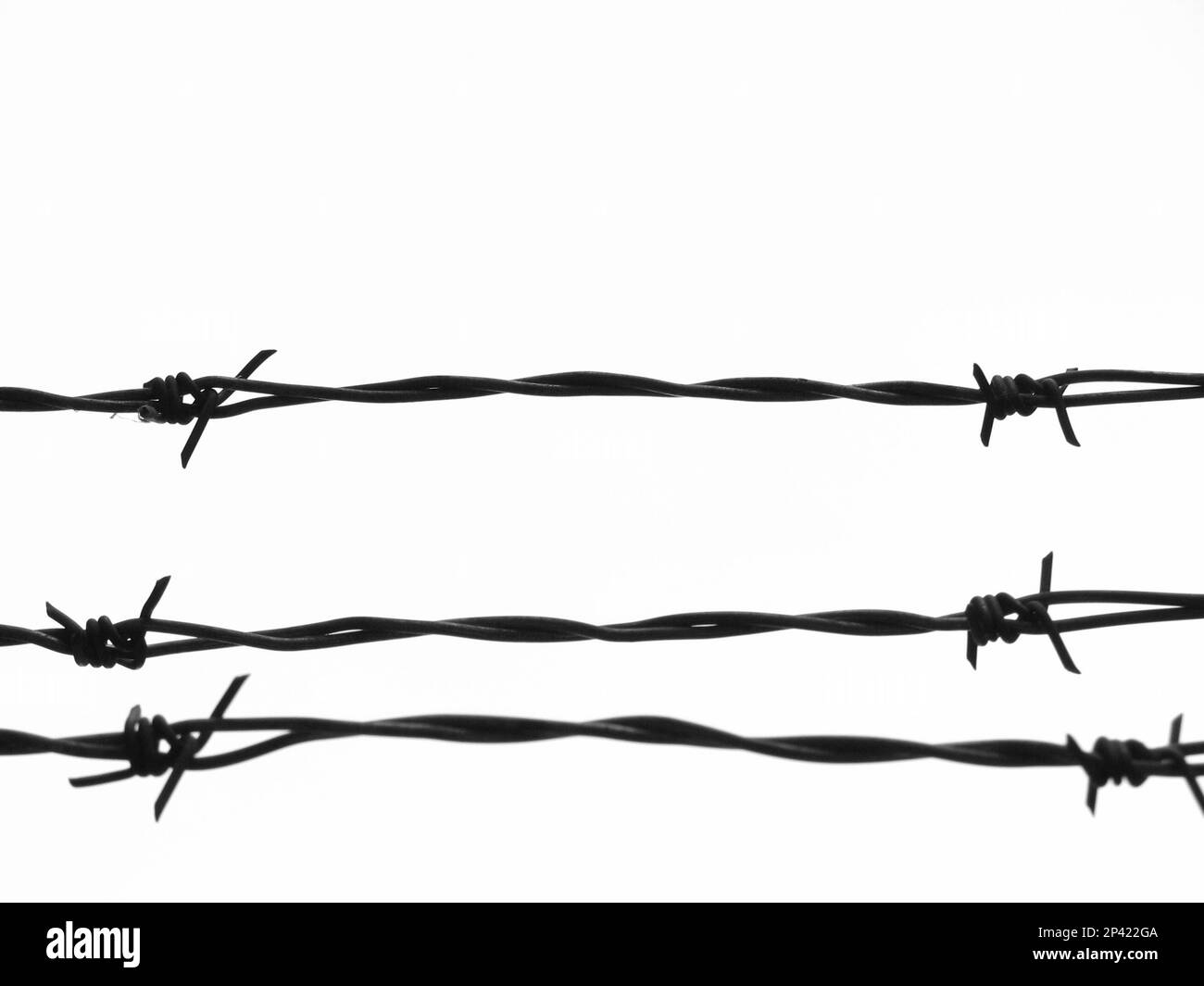 Black and white close up of three strands of a barbed wire security fence against a plain white background. Stock Photo