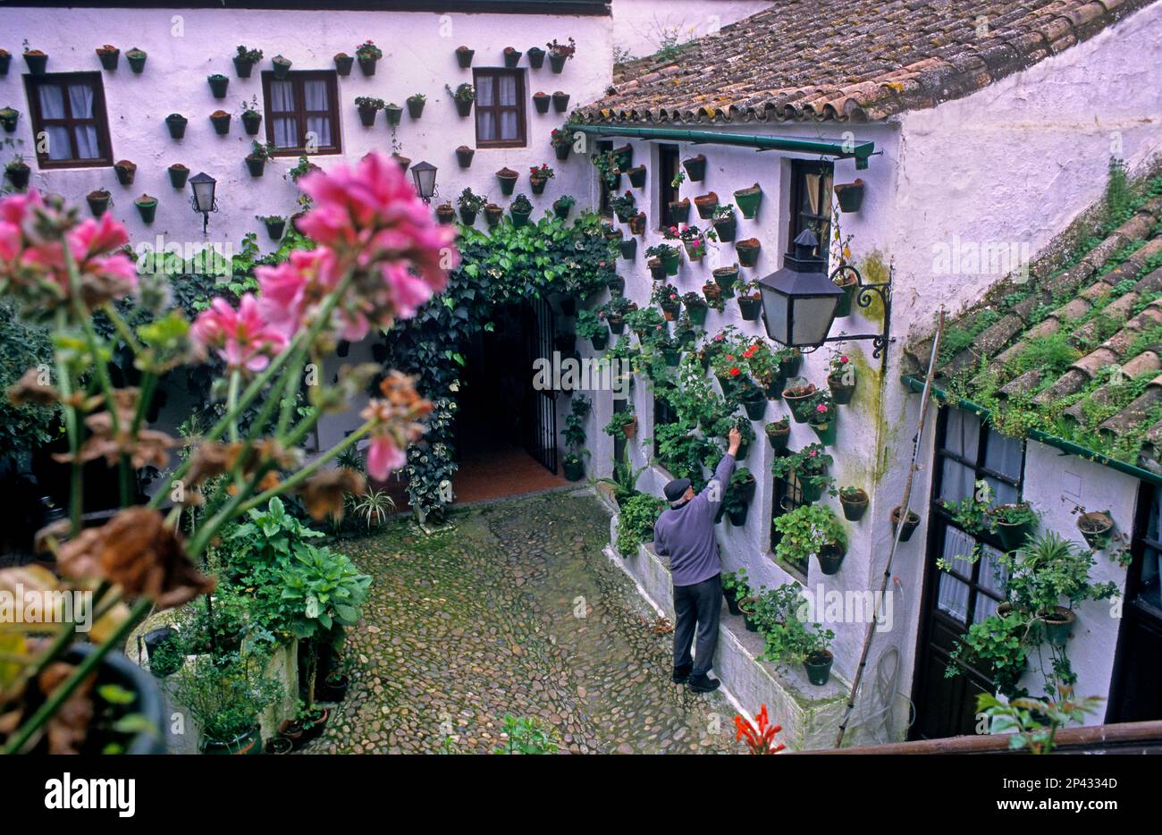 Córdoba.Andalusia. Spain: Typical courtyard, in San Basilio 50 Street.Headquarters of the friends' association of the courtyards of Cordoba Stock Photo