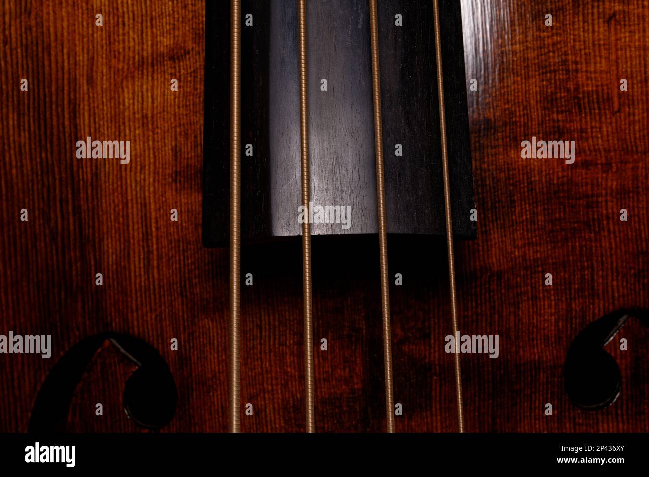 close-up of the four strings and the fingerboard of a double bass Stock Photo