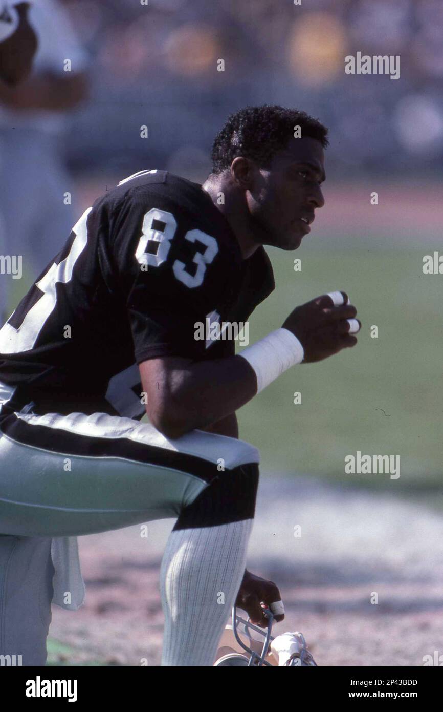 Wide receiver Willie Gault #83 of the Los Angeles Raiders in action.Circa  the 1990's. (Icon Sportswire via AP Images Stock Photo - Alamy