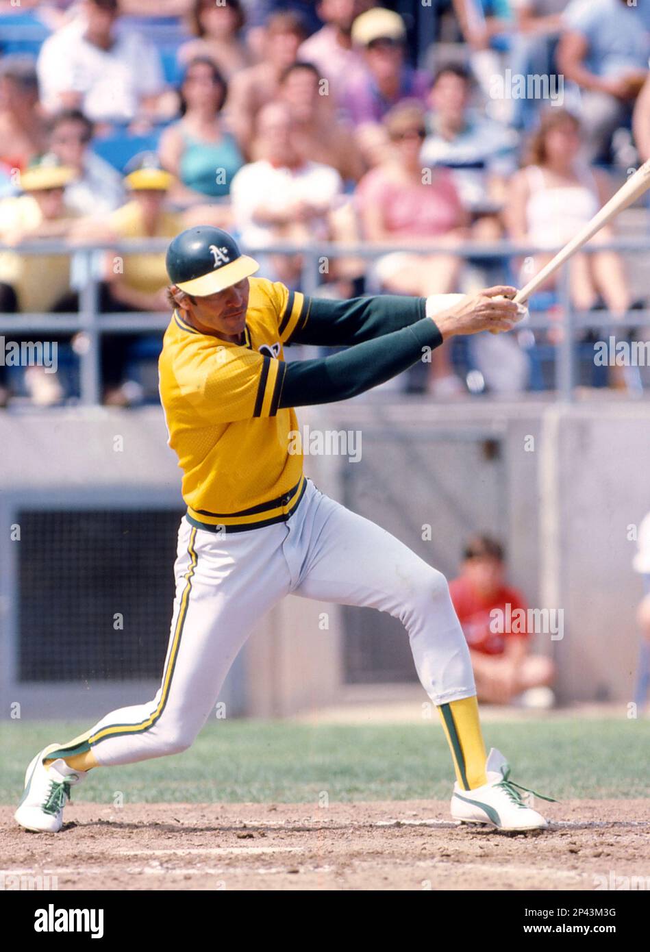 Circa 1980's: Dave Kingman of the Oakland Athletics. (Icon Sportswire via  AP Images Stock Photo - Alamy