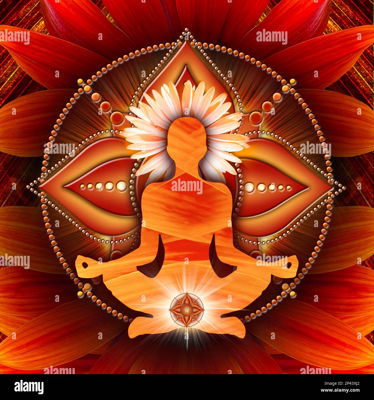 Root chakra meditation in yoga lotus pose, in front of muladhara chakra symbol and blooming gazania garden flower. Stock Photo