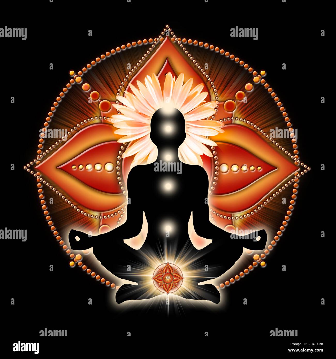 Root chakra meditation in yoga lotus pose, in front of muladhara chakra symbol and blooming gazania garden flower. Stock Photo
