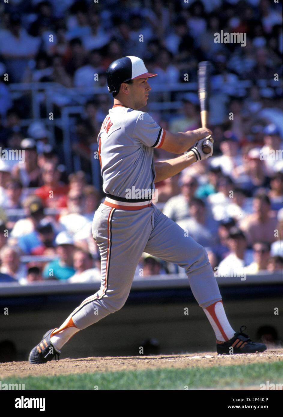 Baltimore Orioles Cal Ripken Jr.( 8) during a game from his career at  Yankee Stadium in the Bronx New York. Cal Ripken Jr. played for 21 years  all with the Orioles, was