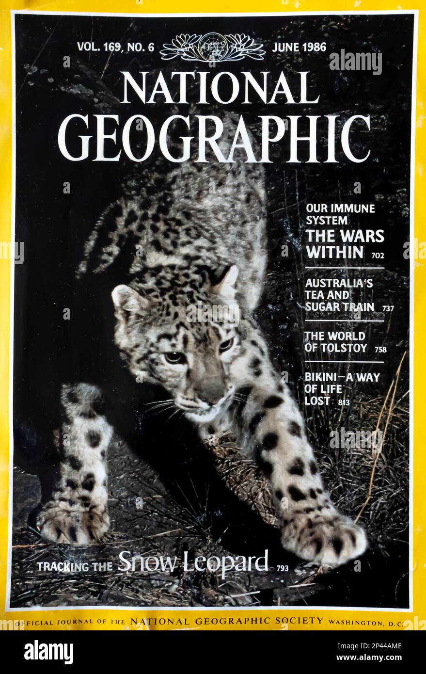 national geographic magazine cover animals
