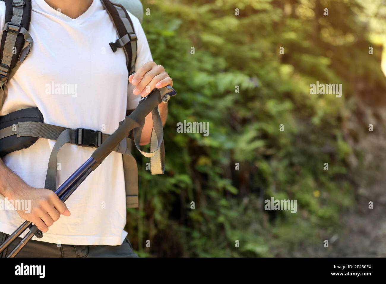Male traveler trekking poles hi-res stock photography and images - Alamy
