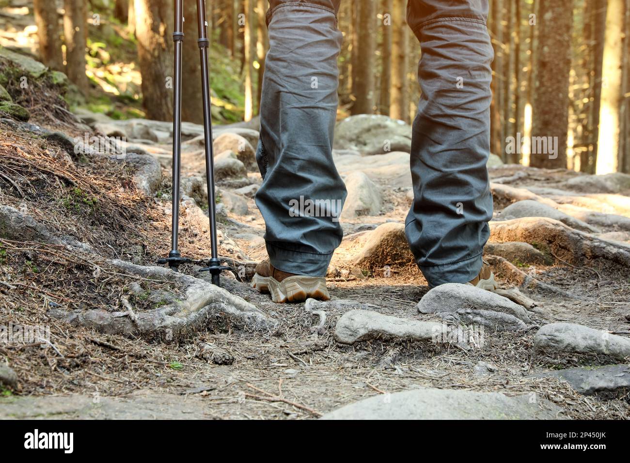 Male hiker trekking sticks hi-res stock photography and images - Alamy