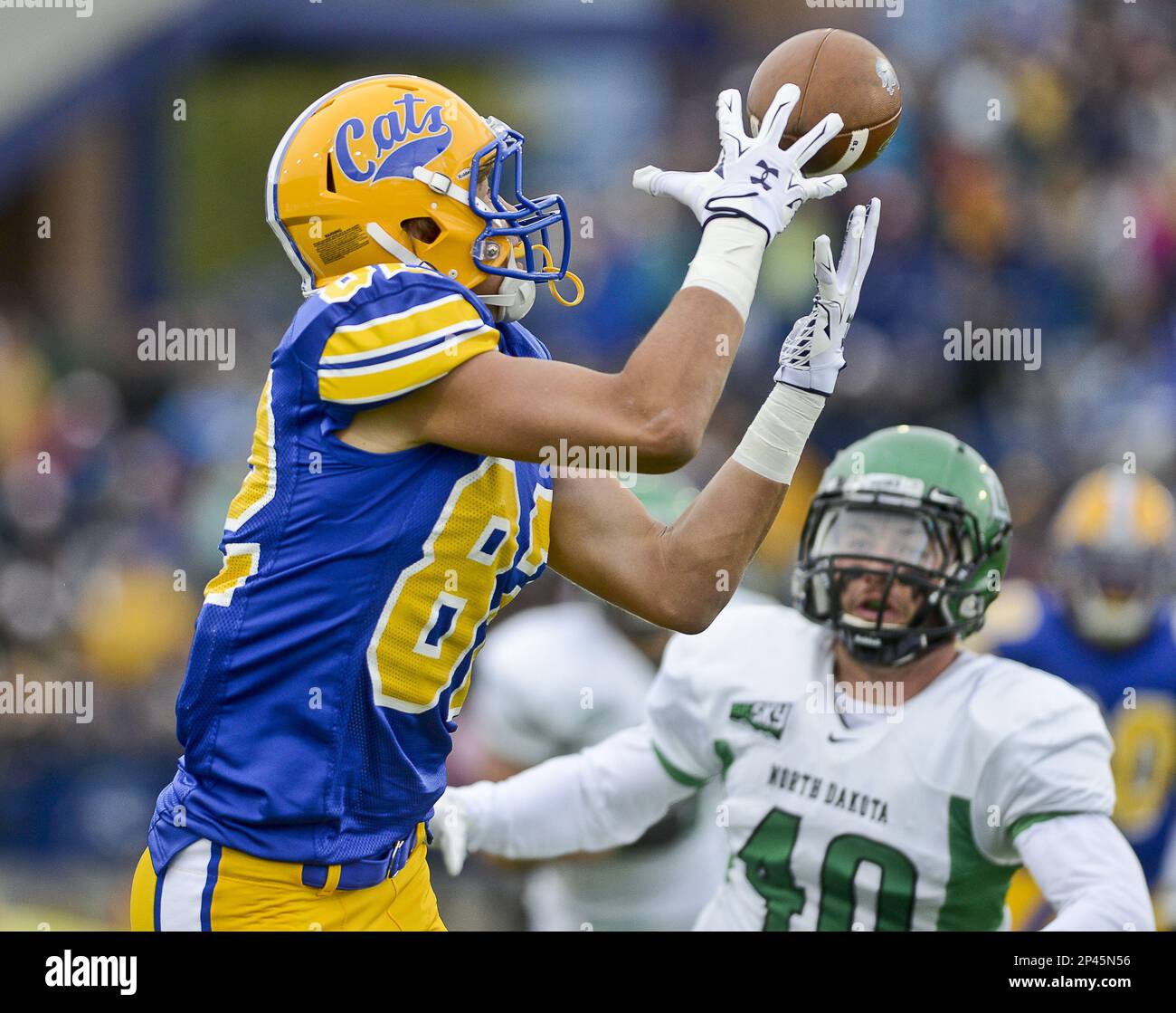 Brandon Thomas - 2017 - Football - South Dakota State University