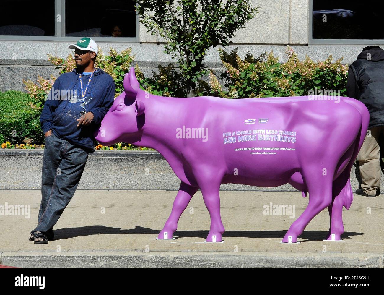 Carlos Gant takes a break while waiting for a ride next to a statue of a  purple cow in Detroit on Sept. 14, 2014. Statues of purple cows around  downtown Detroit are