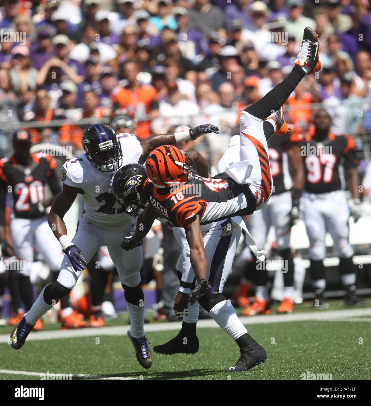 Cincinnati Bengals vs. Cleveland Browns. Fans support on NFL Game.  Silhouette of supporters, big screen with two rivals in background Stock  Photo - Alamy