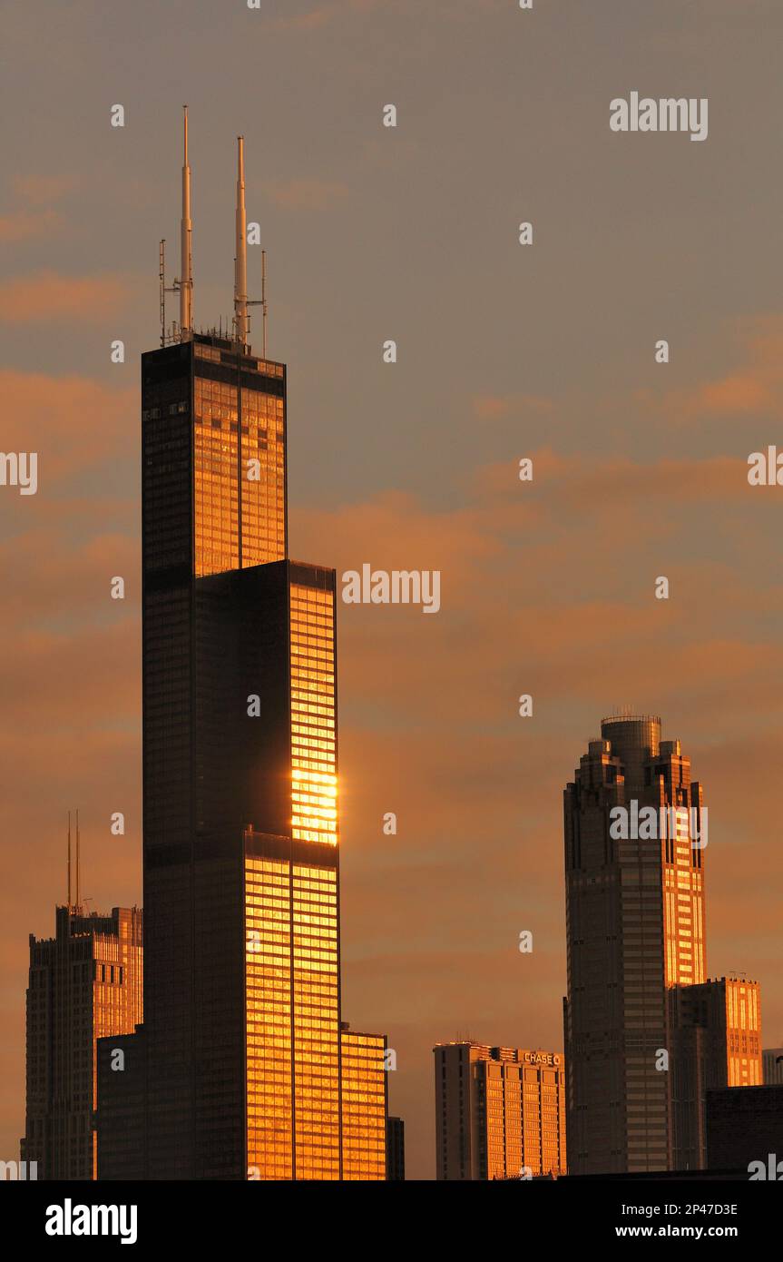 Chicago, Illinois, USA. The Willis Tower (formerly Sears Tower) glistens in the new day's sun, low in the southeastern sky of a December morning. Stock Photo