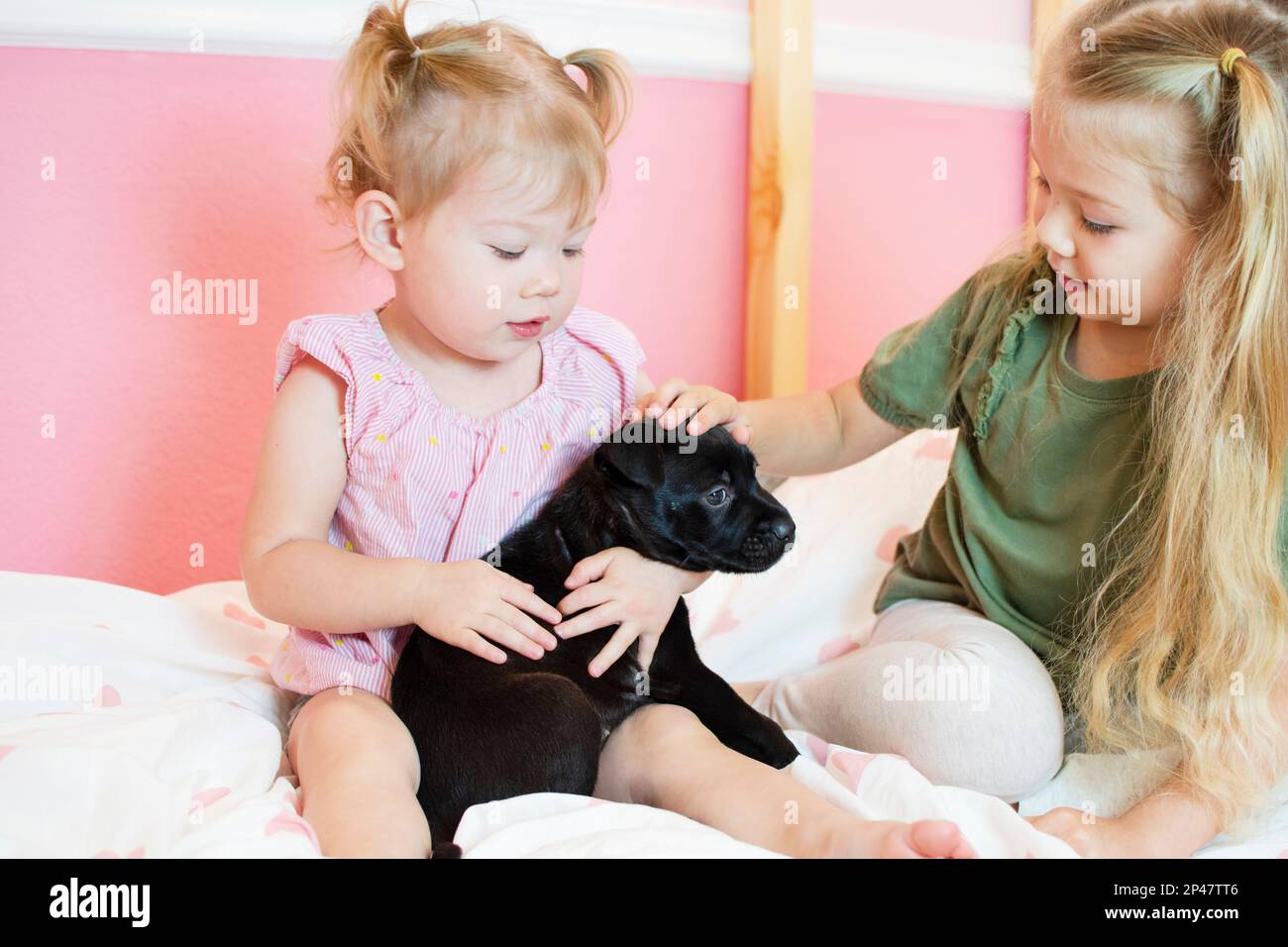 Two kids playing with a puppy. Children with a pet. Happy girls holding a dog Stock Photo