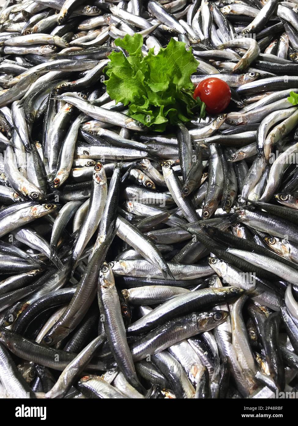 Raw anchovies (Turkish Hamsi) on the fish counter Stock Photo Alamy