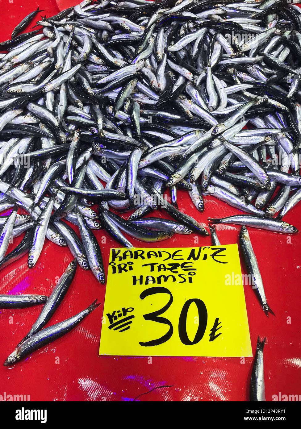 Raw anchovies (Turkish: Hamsi) on the fish counter Stock Photo - Alamy