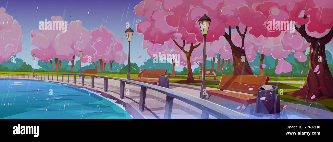 Spring landscape with embankment, japanese sakura trees, lake and benches in rain. Park or garden with chinese cherry trees on river shore in rainy weather, vector cartoon illustration Stock Vector