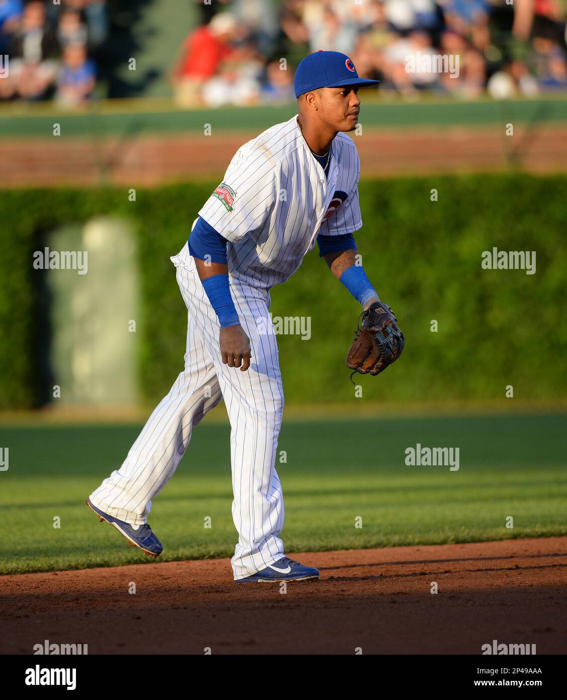 Chicago Cubs Starlin Castro (13) during a game against the San Diego Padres  on July 23, 2014 at Wrigley Field in Chicago, IL. The Padres beat the Cubs  8-3.(AP Photo/David Durochik Stock