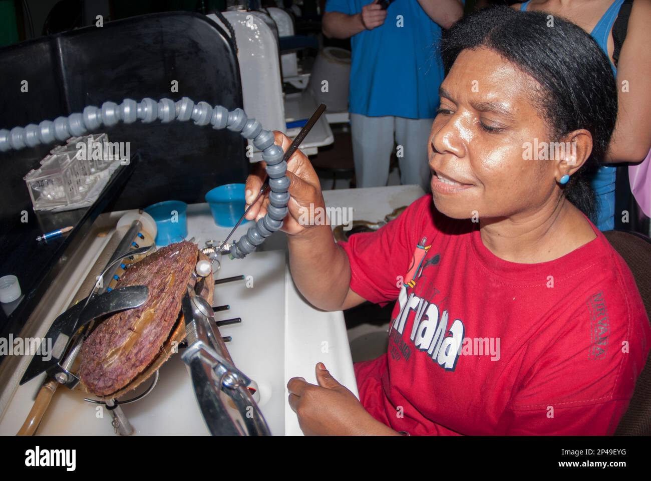 Technican removing pearl from oyster shell, Oyster farm, Raja Ampat