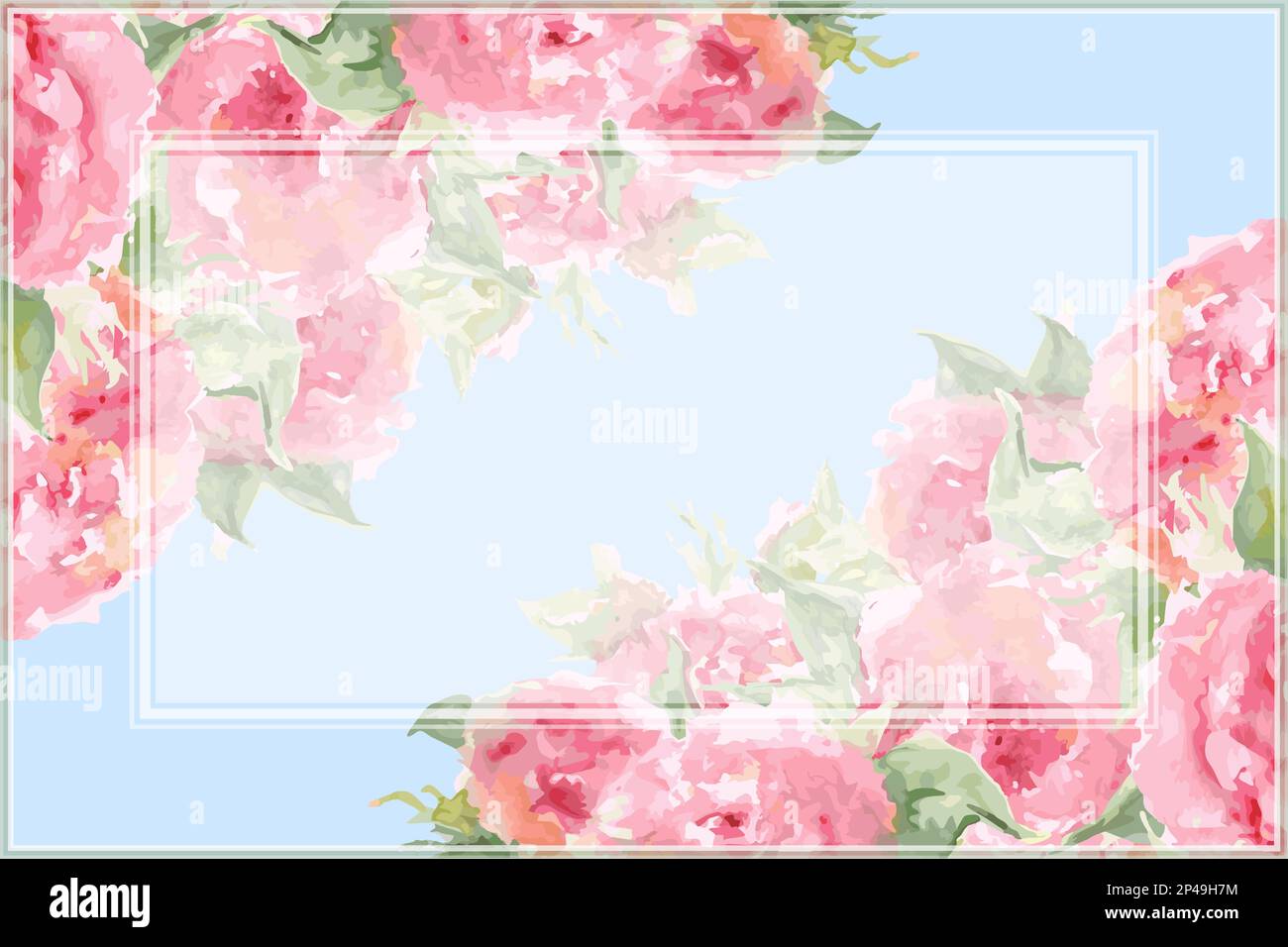 Watercolor pink tea rose peony flower floral composition frame border
