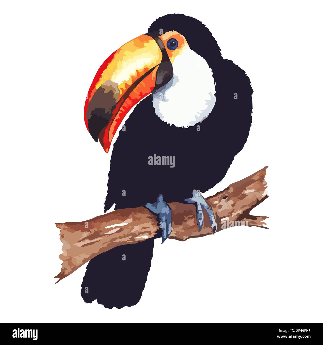 Watercolor exotic tropical animal bird toucan sitting on branch