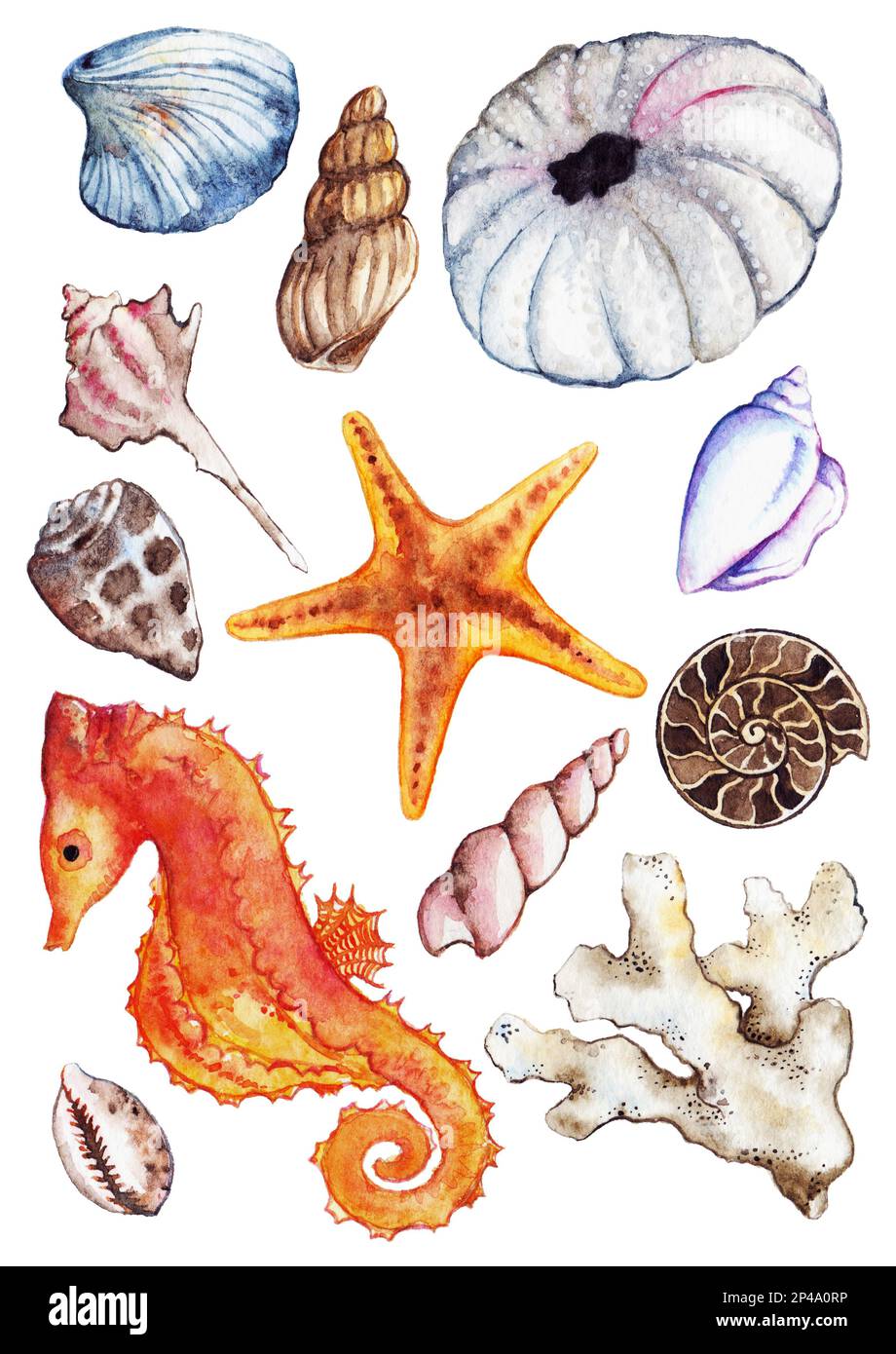Watercolor sea ocean seahorse seashell coral ammonit urchin set. Stock Photo