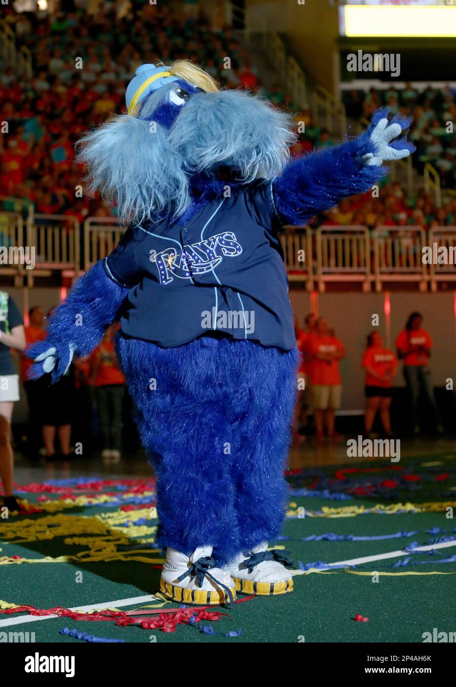 St. Petersburg, FL. USA; Tampa Bay Rays mascot Raymond entertained the fans  during a major league baseball game against the Minnesota Twins, Saturday  Stock Photo - Alamy
