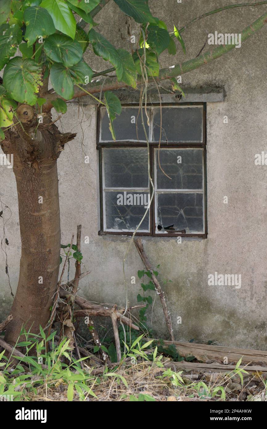 Window in Muk Wu, a remote village in northeast New Territories, Hong