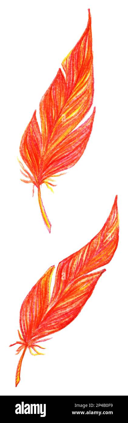 Red orange yellow bird feathers set vector isolated. Stock Vector
