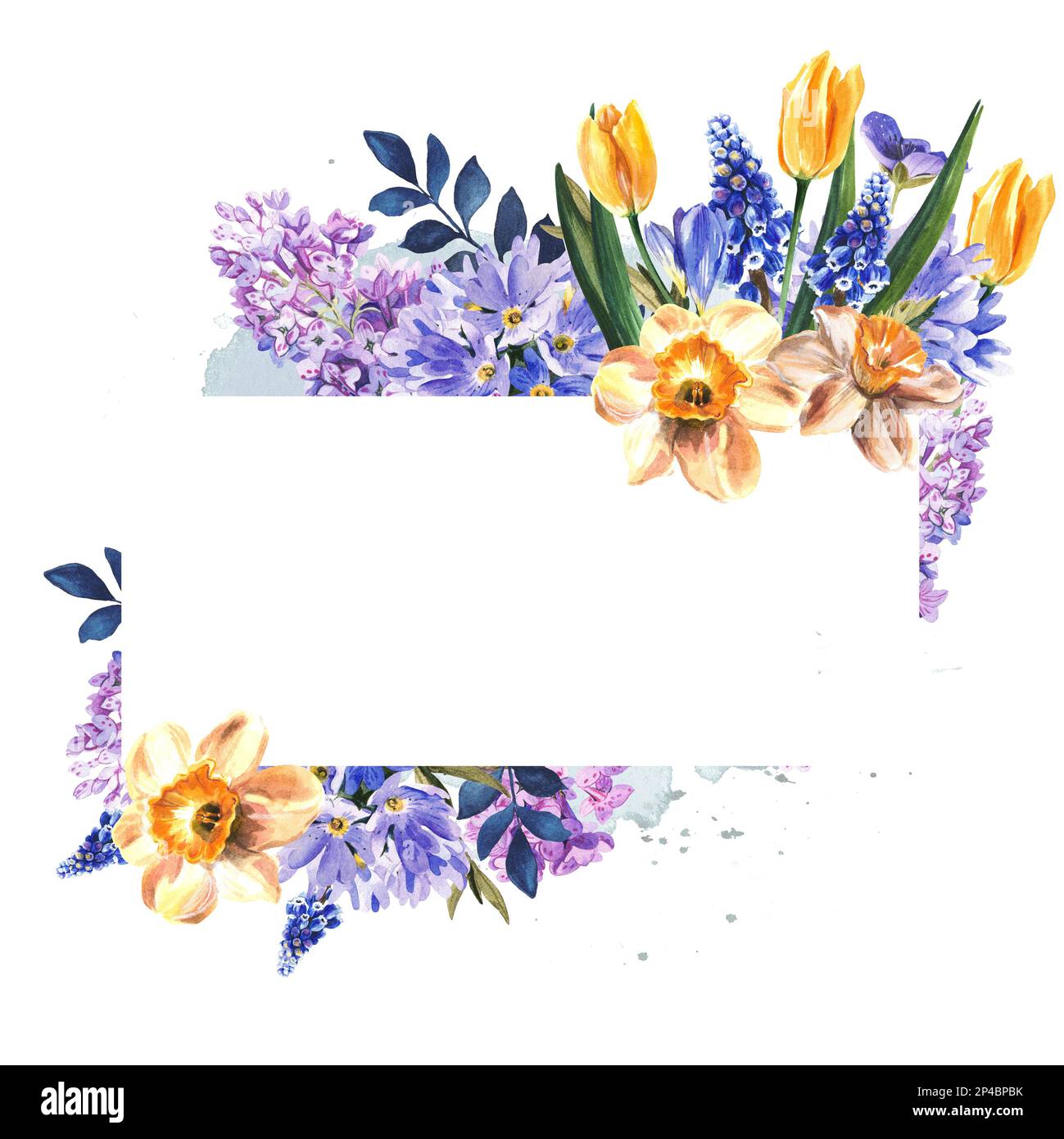 frame of spring flowers on a white background. watercolor illustration
