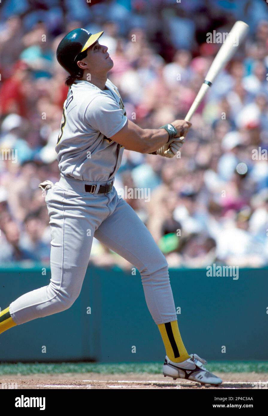 Boston Red Sox slugger Jose Canseco pauses during batting practice at  Fenway Park in Boston Ma USA 1990's photo by Bill Belknap Stock Photo -  Alamy