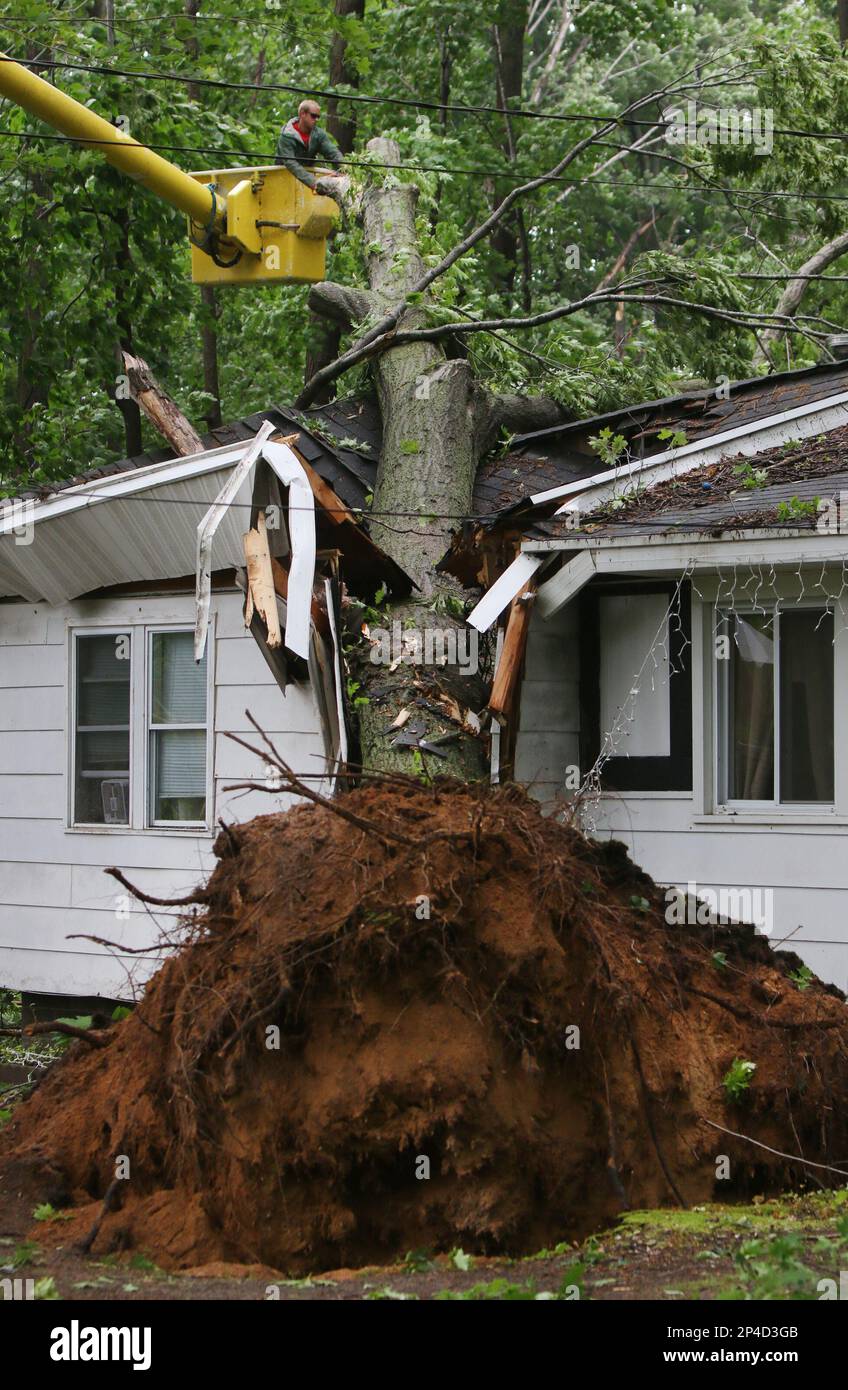 Mark Whelpley with RV Tree LLC of Fruitport works to remove a fallen