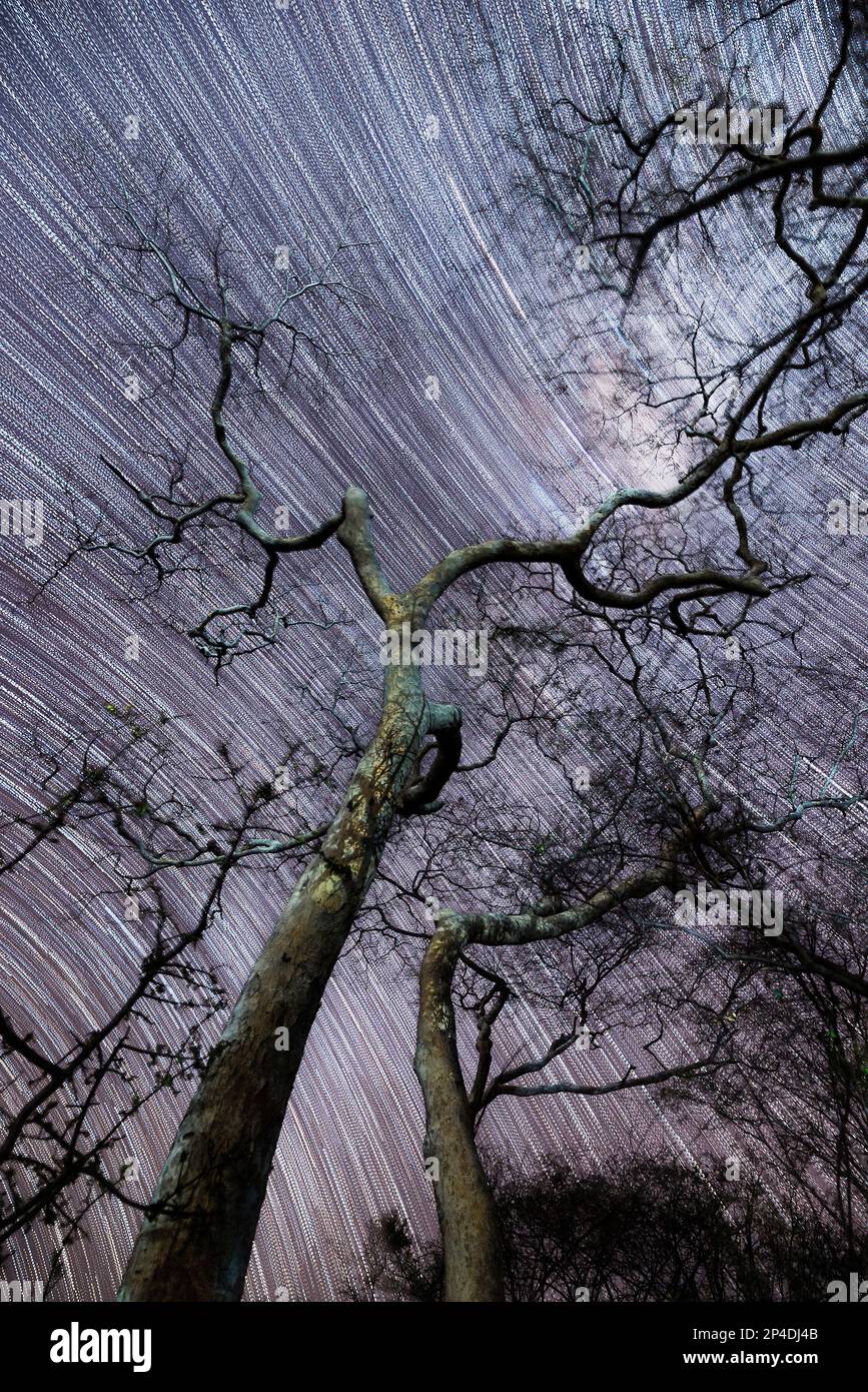 A star trail can be seen on a clear night in Zimbabwe Stock Photo - Alamy