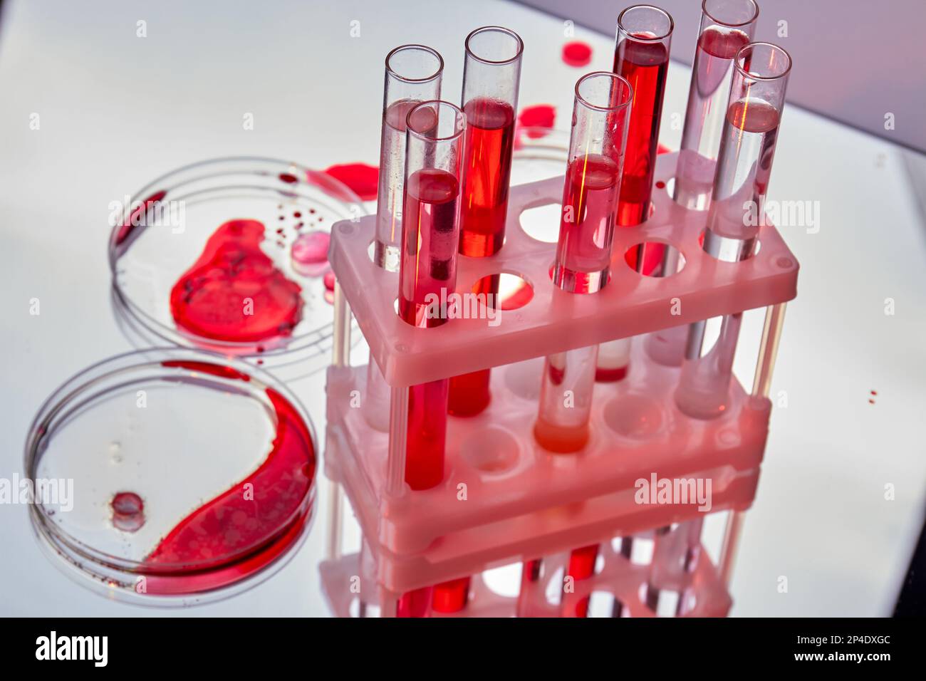 Test tubes and petri dishes with blood samples. DNA analysis concept
