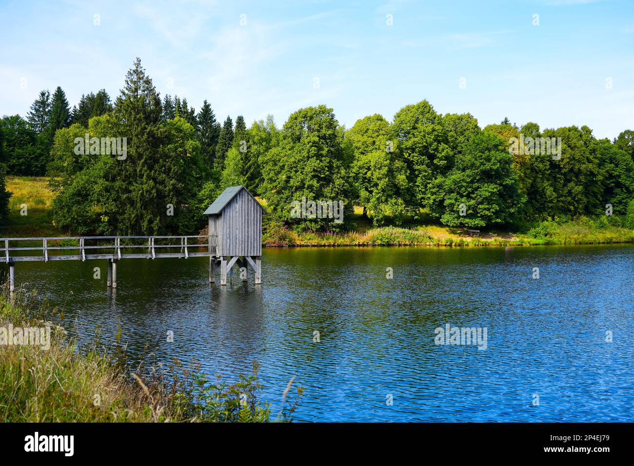Kranicher Teich in the spa gardens of Hahnenklee. Idyllic landscape by