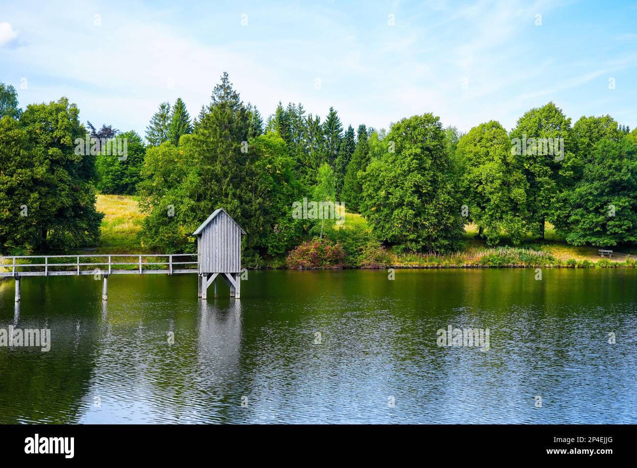 Kranicher Teich in the spa gardens of Hahnenklee. Idyllic landscape by