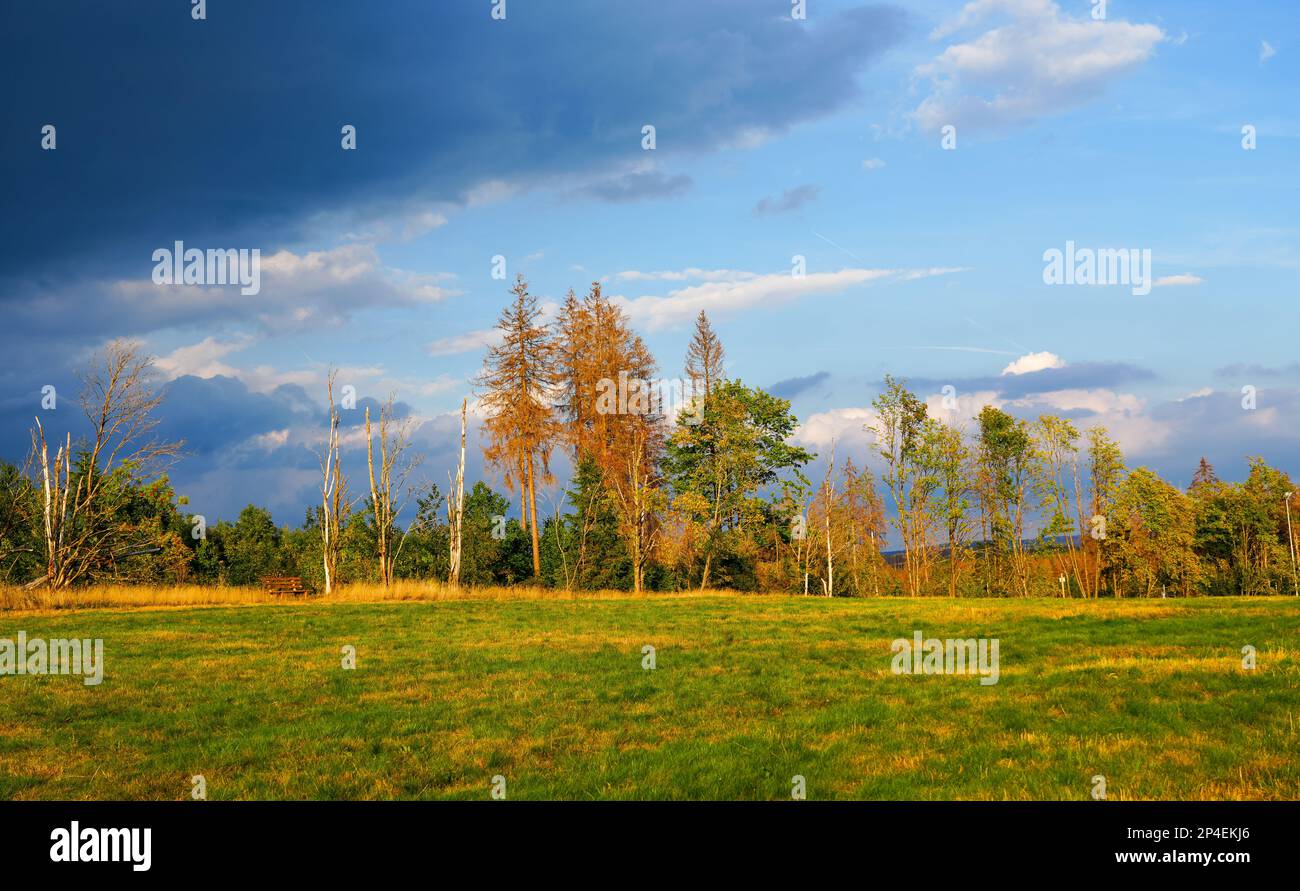 Landscape at the Hasenbacher Teich. Nature in the Harz near Clausthal
