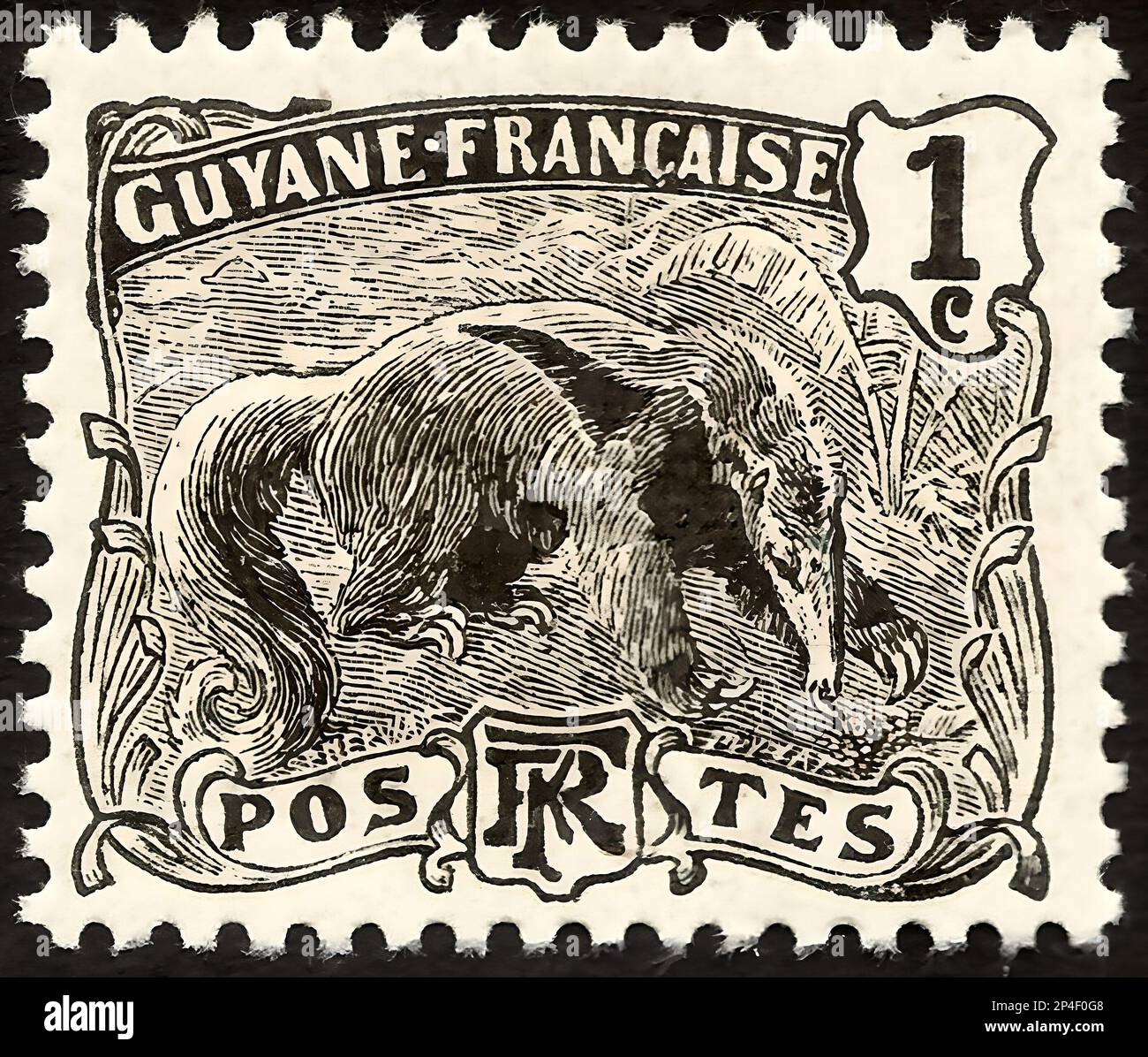 Stamp print in France, French Guyana, anteater Stock Photo Alamy