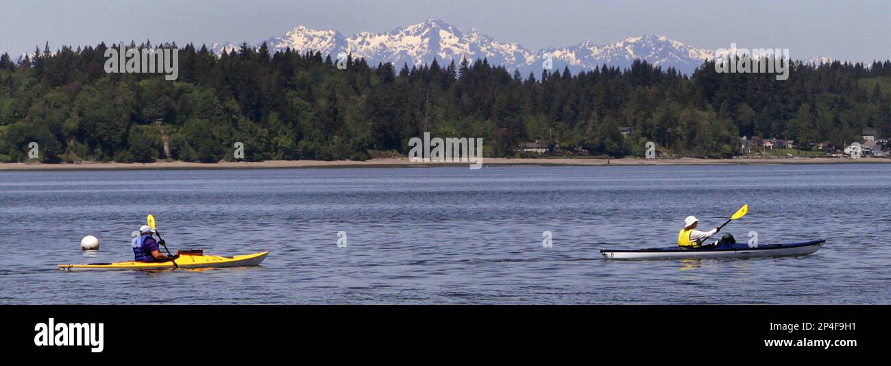 Taking advantage of the Boston Harbor Marina's 2forone Tuesday kayak